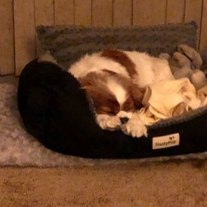 Meet your Posher, Lindsey